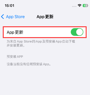 田家庵苹果15维修中心如何让iPhone15APP自动更新